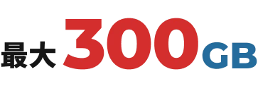 最大300GB